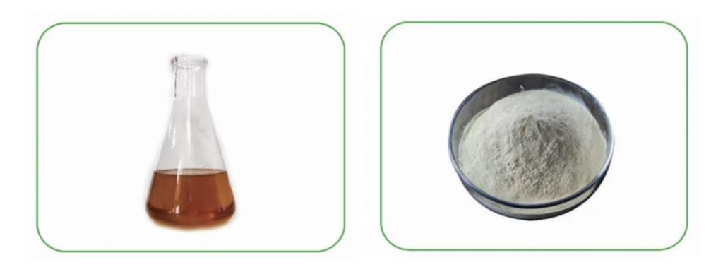 Pea-based γ-polyglutamic acid