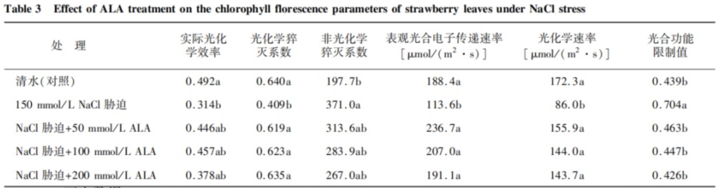 Effects of ALA treatment on light-adapted fluorescence parameters of strawberry seedling leaves under salt stress