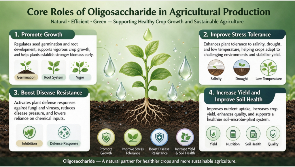 Core Roles of Oligosaccharide
