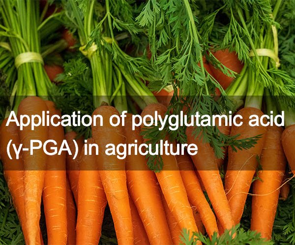 Application of polyglutamic acid (γ-PGA) in agriculture