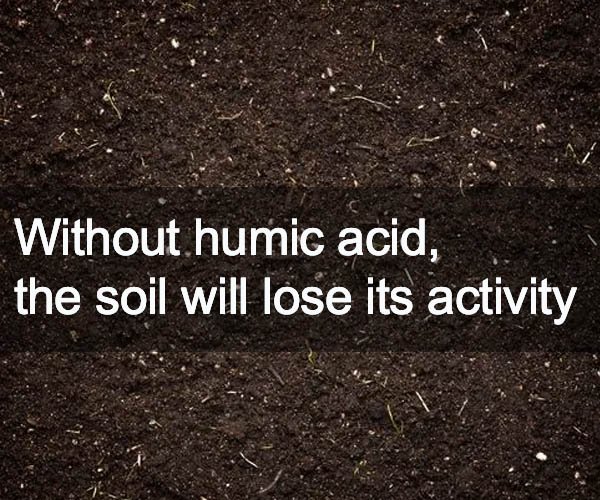 Without humic acid, the soil will lose its activity