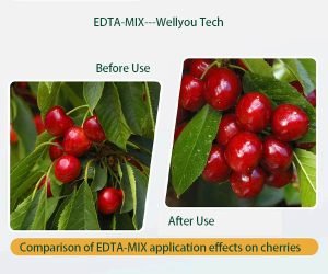 EDTA-MIX wellyou tech