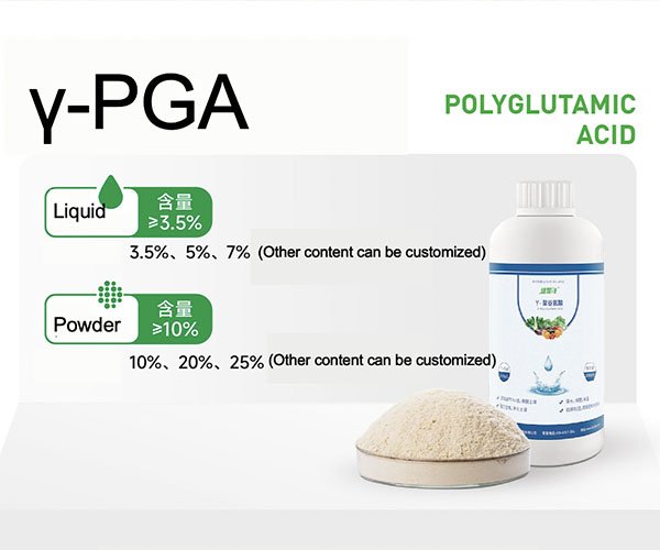 Pea-based γ-polyglutamic acid