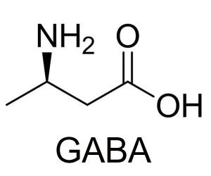 GABA