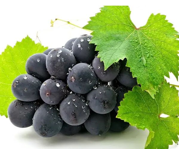 Application of S-Abscisic Acid(S-ABA) on Grapes