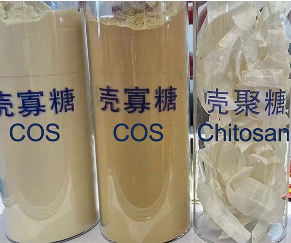 Application of Chitooligosaccharides as Seed Dressing Agent