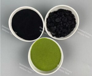 Use of Seaweed Extract fertilizer as Seed Dressing Agent