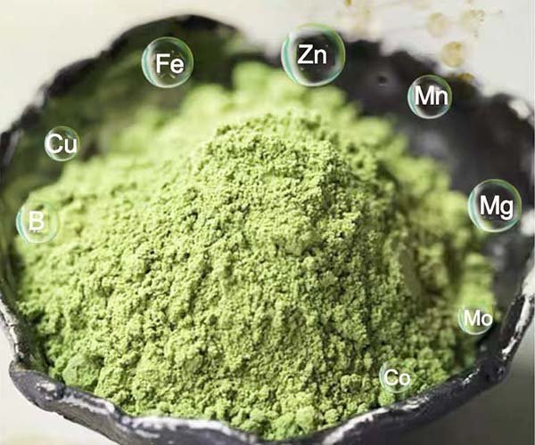 EDTA Chelated Micronutrients