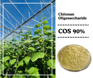 Chitosan Oligosaccharide: A Revolutionary Biopesticide and Fertilizer Enhancer in Agriculture