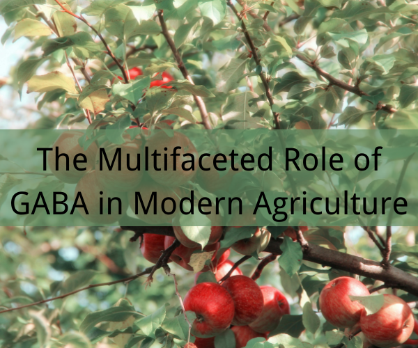 The Multifaceted Role of GABA in Modern Agriculture