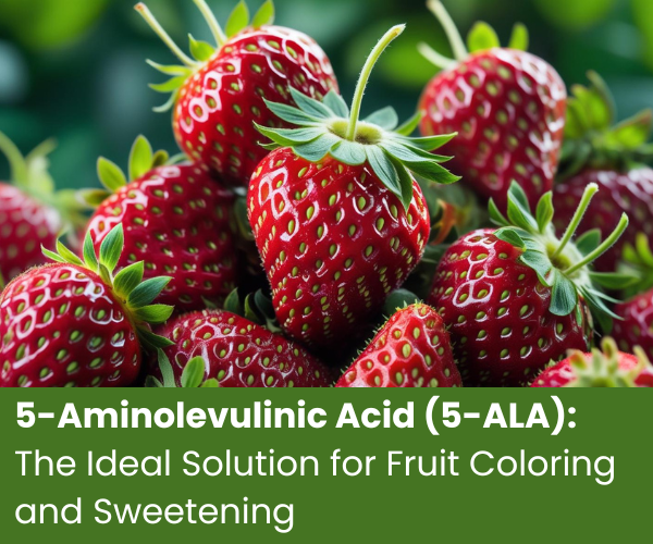 5-Aminolevulinic Acid (5-ALA): The Ideal Solution for Fruit Coloring and Sweetening