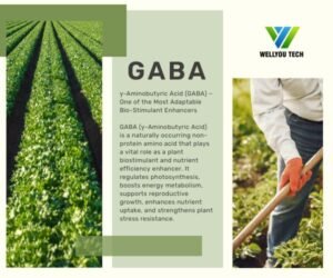 GABA wellyou tech