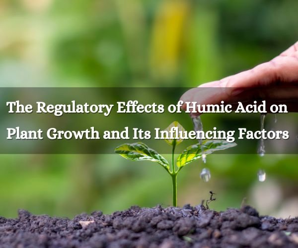The Regulatory Effects of Humic Acid on Plant Growth and Its Influencing Factors