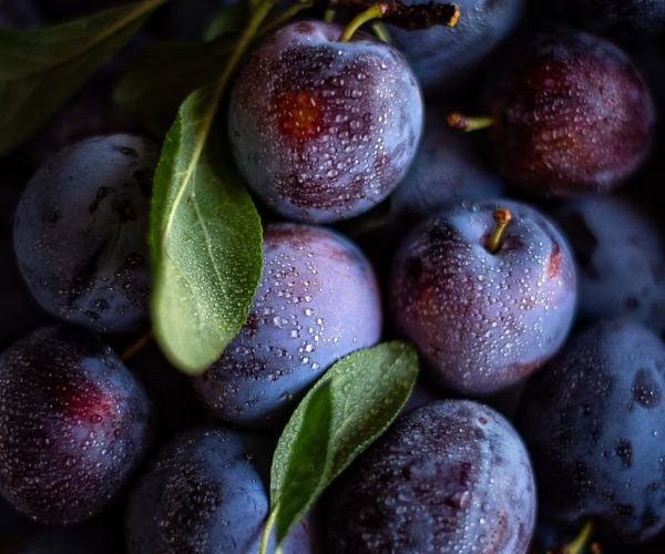 Preharvest COS Spray Protects Plums from Black Spot Disease