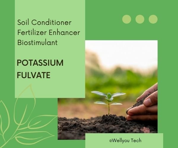 Potassium Fulvate: The Smart Choice for Soil Conditioning and Crop Vitality