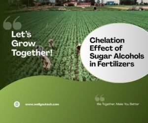 Chelation Effect of Sugar Alcohols in Fertilizers