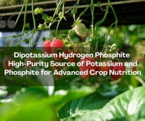 Dipotassium Hydrogen Phosphite High-Purity Source of Potassium and Phosphite for Advanced Crop Nutrition