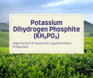 Potassium Dihydrogen Phosphite (KH₂PO₃): High-Purity P-K Source for Liquid Fertilizer Production