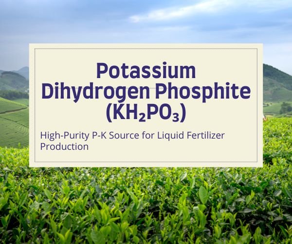 Potassium Dihydrogen Phosphite (KH₂PO₃): High-Purity P-K Source for Liquid Fertilizer Production