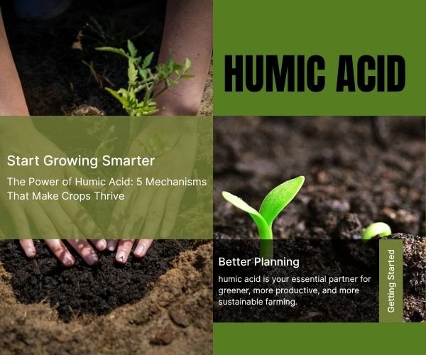 humic acid is your essential partner for greener, more productive, and more sustainable farming.