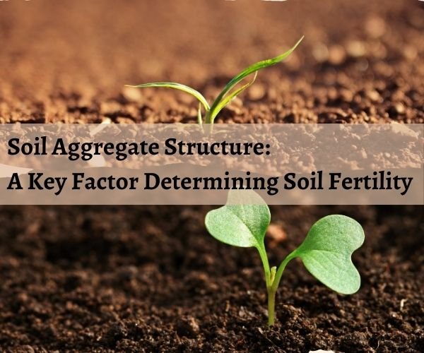 Soil Aggregate Structure: A Key Factor Determining Soil Fertility