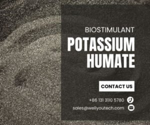 Key Factors Affecting the Quality of Potassium Humate