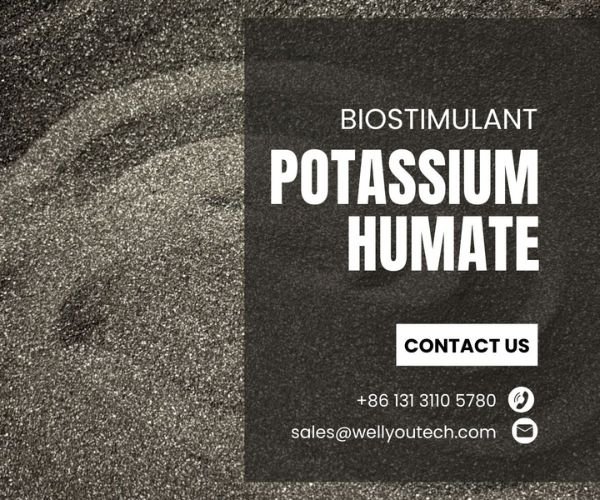 Key Factors Affecting the Quality of Potassium Humate
