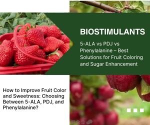 How to Improve Fruit Color and Sweetness: Choosing Between 5-ALA, PDJ, and Phenylalanine