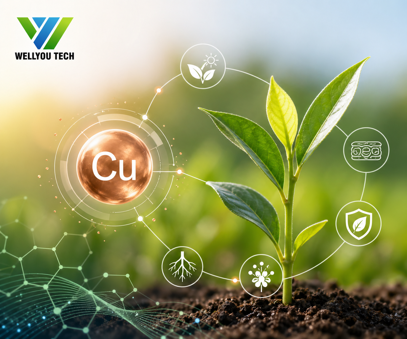 Copper in Plant Nutrition: Functions, Deficiency Symptoms, and EDTA-Cu Solutions