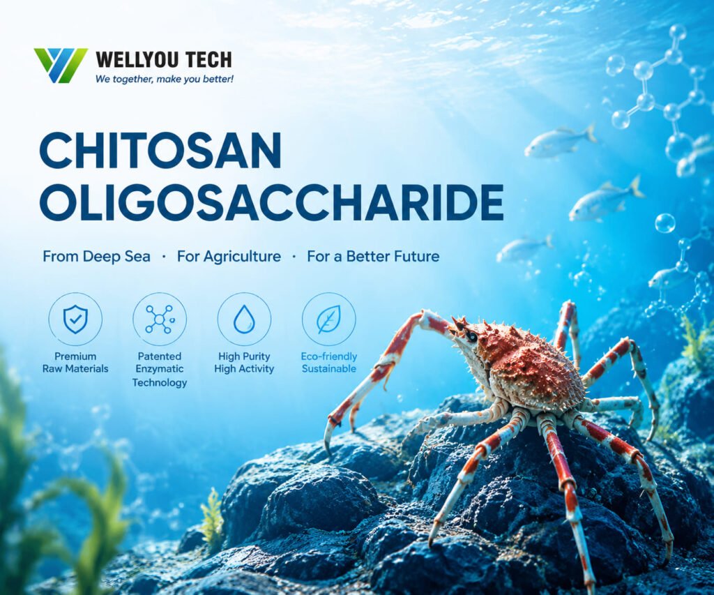 High-Quality Chitosan Oligosaccharide， From Source to Field