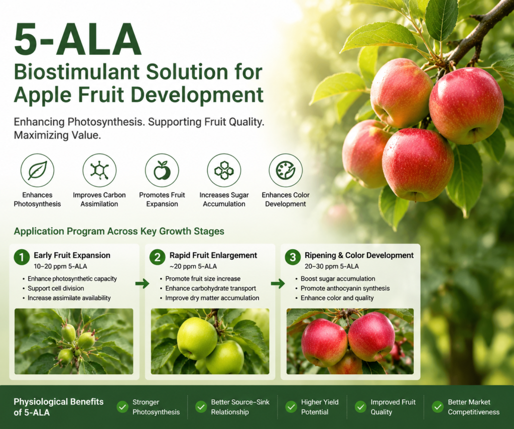 5-Aminolevulinic Acid (5-ALA) in Apple Production