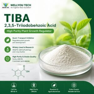 2,3,5-Triiodobenzoic Acid (TIBA) | High Purity Plant Growth Regulator