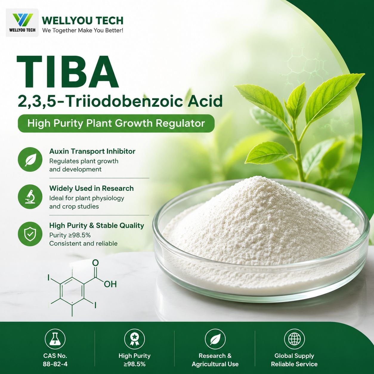 2,3,5-Triiodobenzoic Acid (TIBA) | High Purity Plant Growth Regulator 2,3,5-Triiodobenzoic Acid (TIBA) | High Purity Plant Growth Regulator