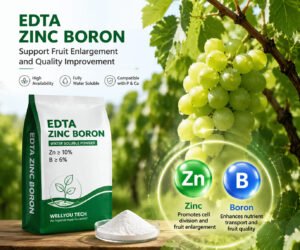 EDTA Zinc Boron Fertilizer: Improving Fruit Development, Nutrient Efficiency and Crop Quality