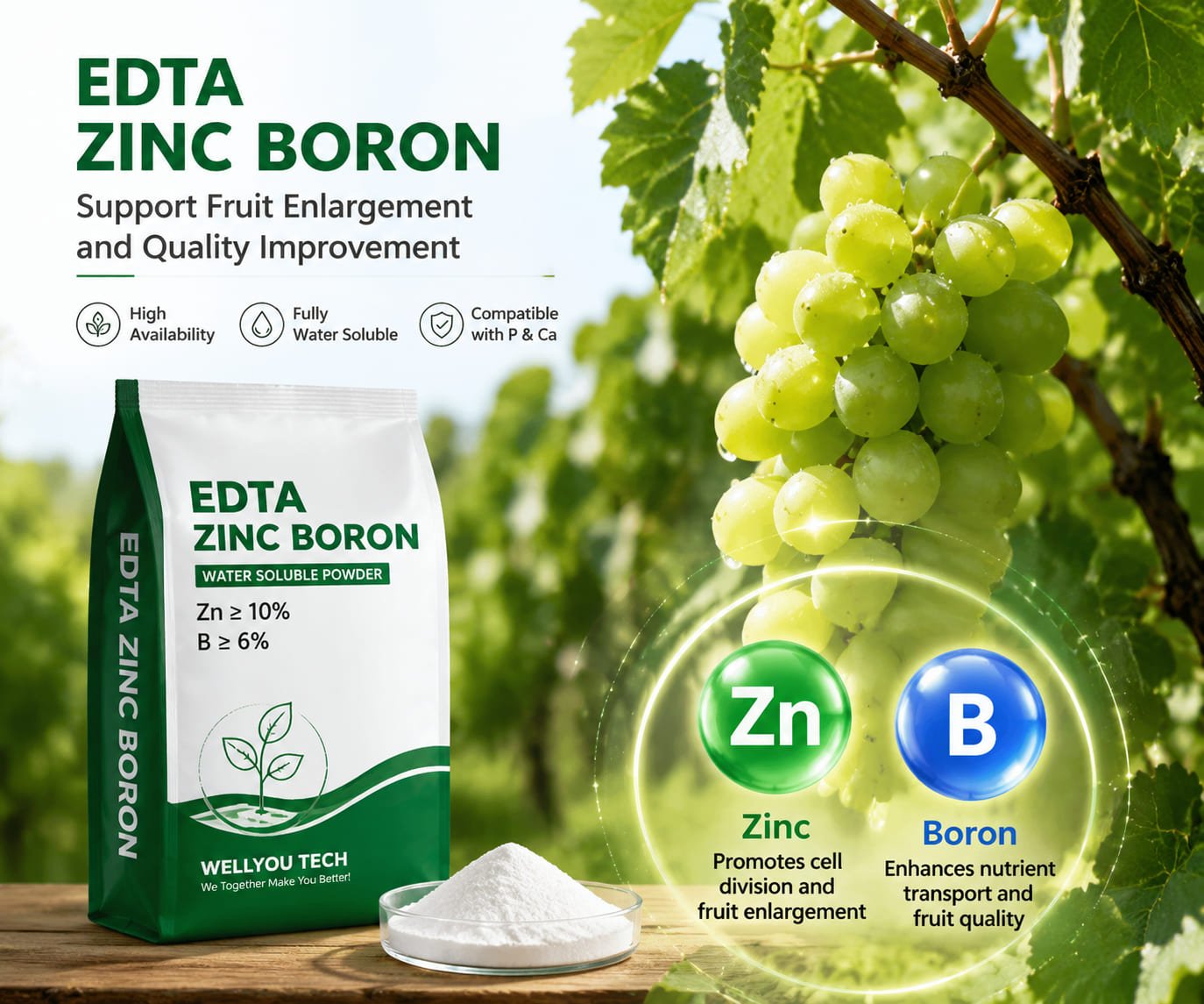 EDTA Zinc Boron Fertilizer: Improving Fruit Development, Nutrient Efficiency and Crop Quality