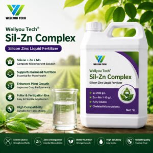 Sil Zn Complex
