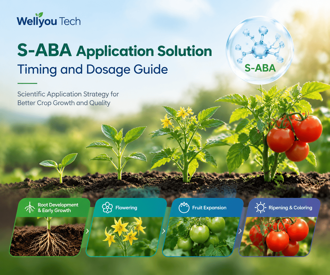 S-ABA Application Solution: Timing and Dosage Guide